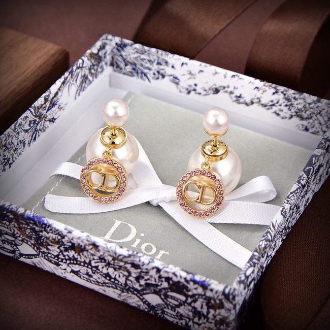 Dior Earring CE81827