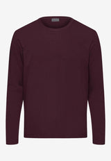 HANRO Basic Long-Sleeved T-shirt Brown 075053-2792BROWN