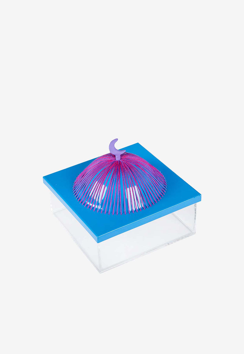 Medium Acrylic Dome Box Blue 