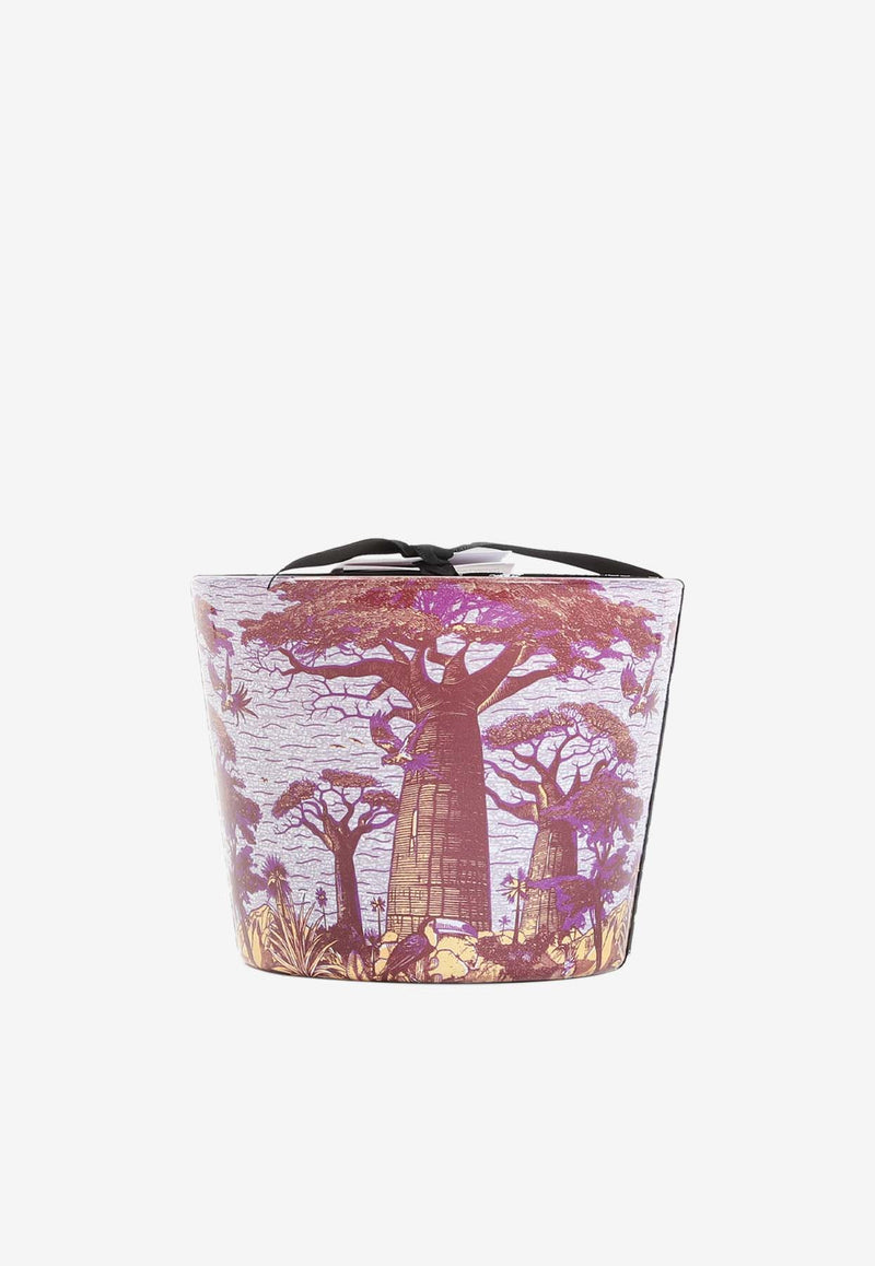 Sacred Trees Massasso Scented Candle - Max 10