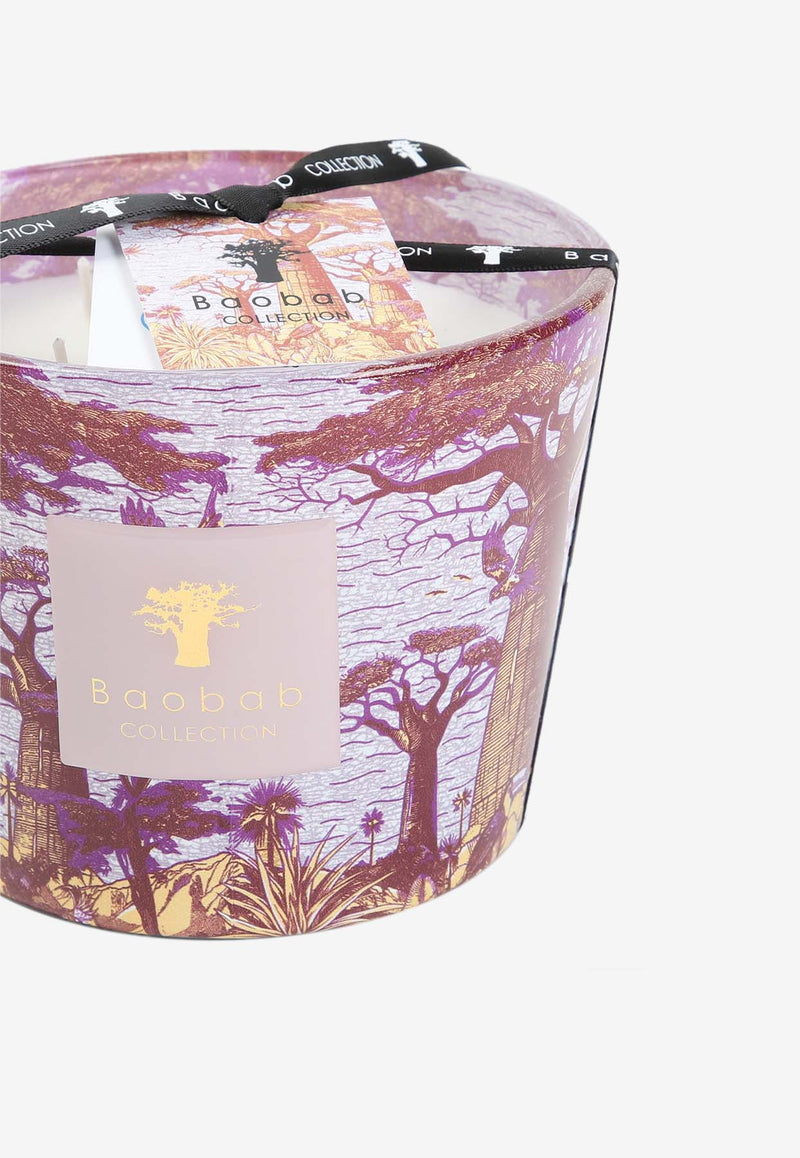 Sacred Trees Massasso Scented Candle - Max 10