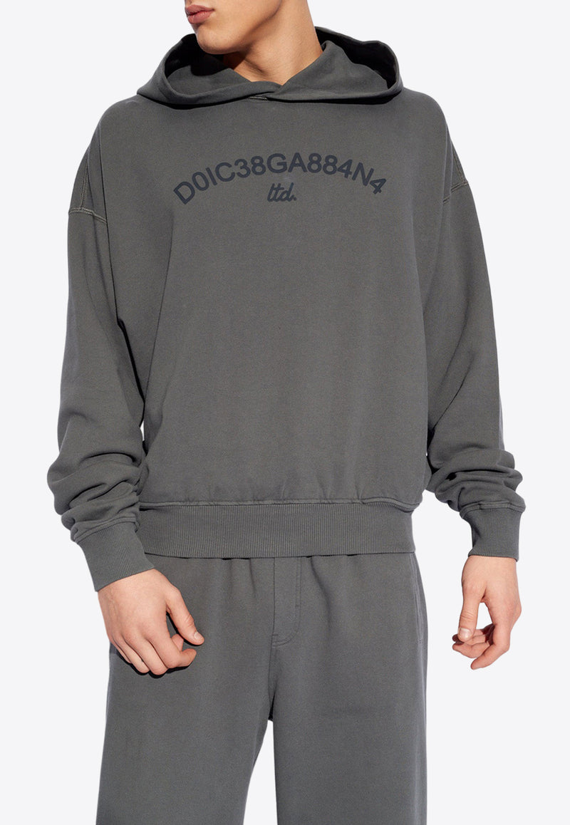 Dolce 
Gabbana Logo Print Hooded Sweatshirt Gray G9AYQT G7M8E-N9299