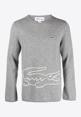 Comme Des Garçons X Lacoste Intarsia Knit Logo Sweater Gray FLN003W23_3