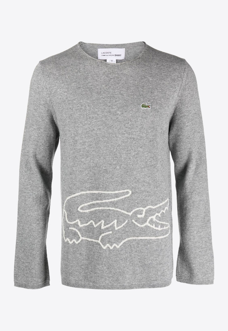 Comme Des Garçons X Lacoste Intarsia Knit Logo Sweater Gray FLN003W23_3