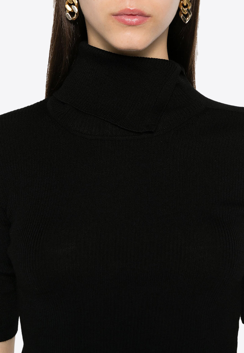 P.A.R.O.S.H Leila Turtleneck Wool Knit Top Black D512928LEILA24_013