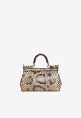 Dolce 
Gabbana Small Sicily Python-Skin Top Handle Bag Beige BB7116 A2111-80200