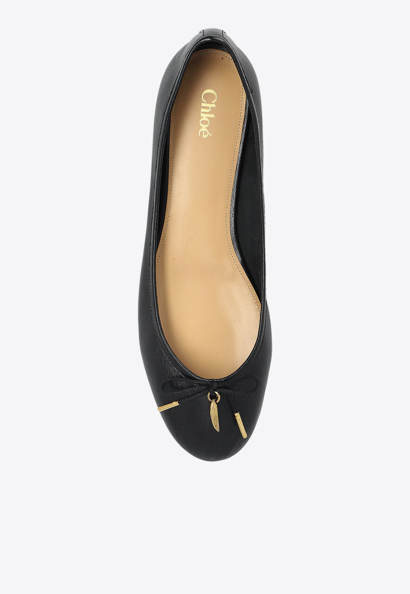 Chloé Iris Leather Ballet Flats CHC25S08H QN-001