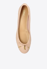 Chloé Iris Leather Ballet Flats Pink CHC25S08H QN-26Y