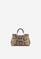 Dolce 
Gabbana Small Sicily Top Handle Bag in Python Embossed Leather BB7116 A2111 80200 Multicolor