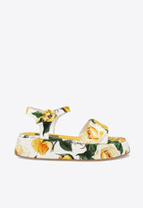 Dolce 
Gabbana Kids Girls Rose Print Sandals D11227 A7131 HA3VO Yellow