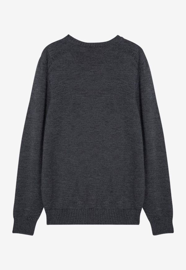 Drumohr Wool Crewneck Sweater Gray D7M103WO/P_DRUMH-671