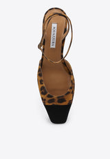 Aquazzura French Flirt 35 Leopard Print Pumps Brown FRLMIDP0ASG/P_AQUA-C80