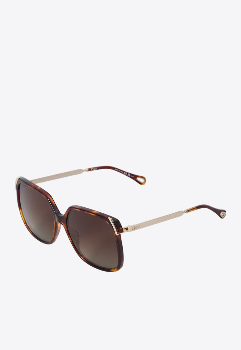 Chloé Aly Square Sunglasses Brown CH0286S--002