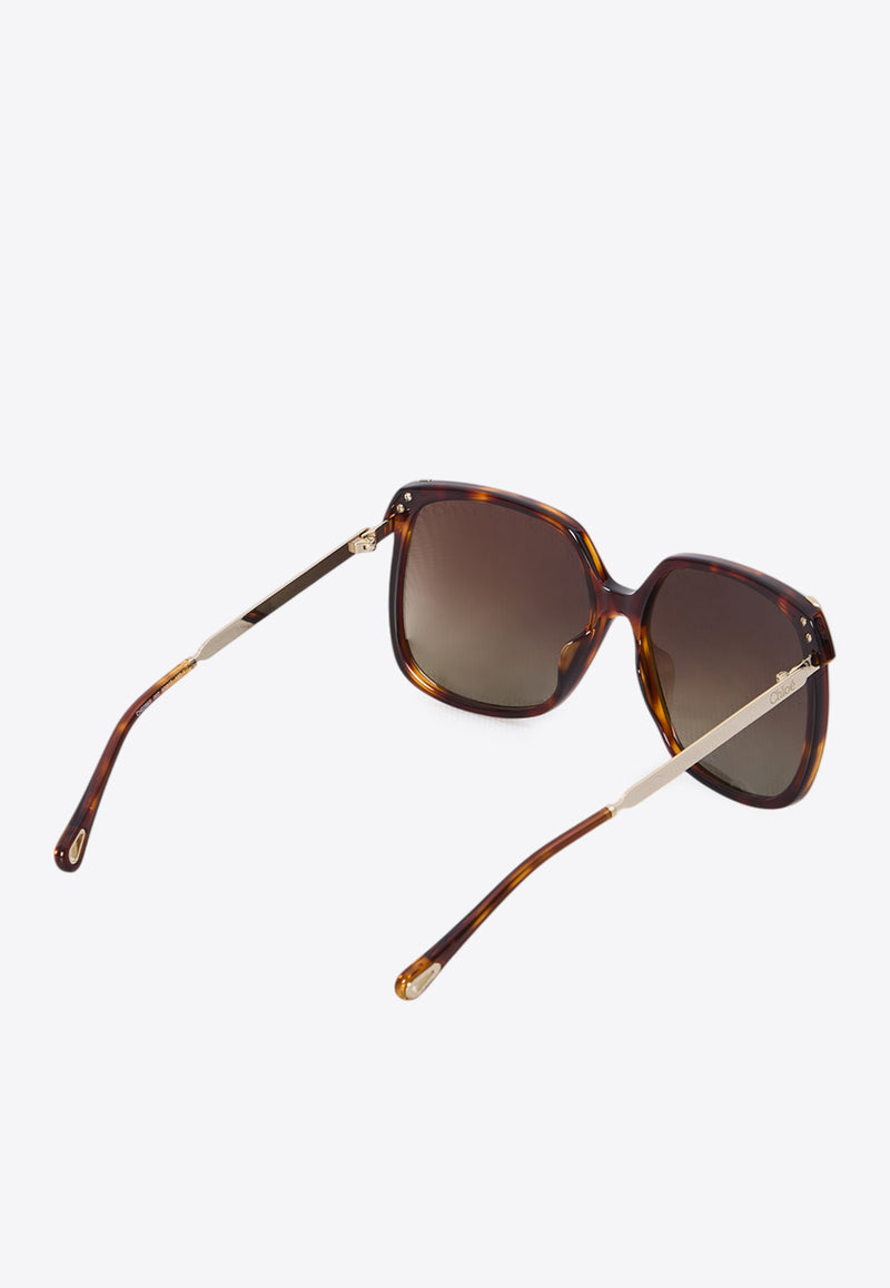 Chloé Aly Square Sunglasses Brown CH0286S--002