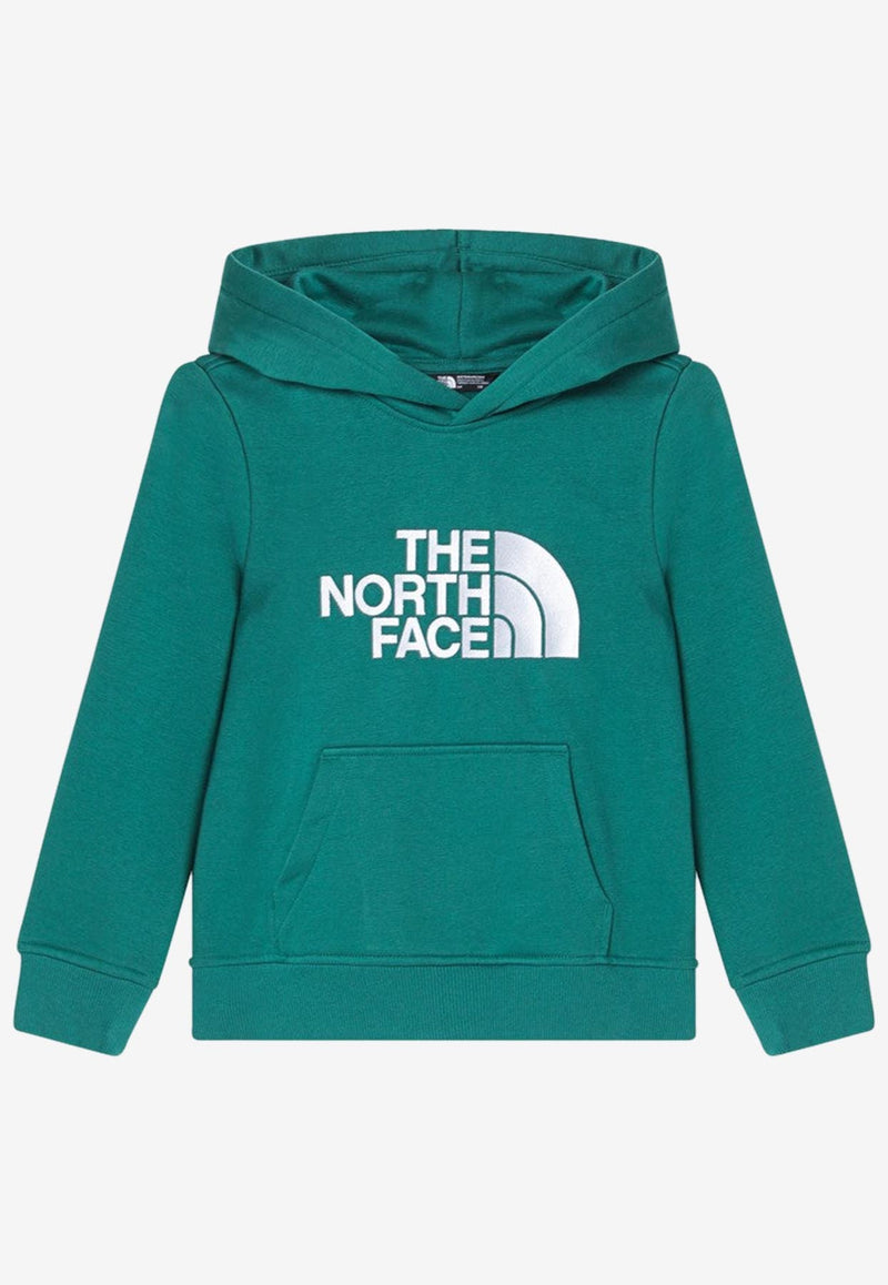 The North Face Kids Boys Drew Peak Hooded Sweatshirt Green NF0A89HHCO/P_NORTH-NL11