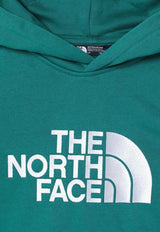 The North Face Kids Boys Drew Peak Hooded Sweatshirt Green NF0A89HHCO/P_NORTH-NL11