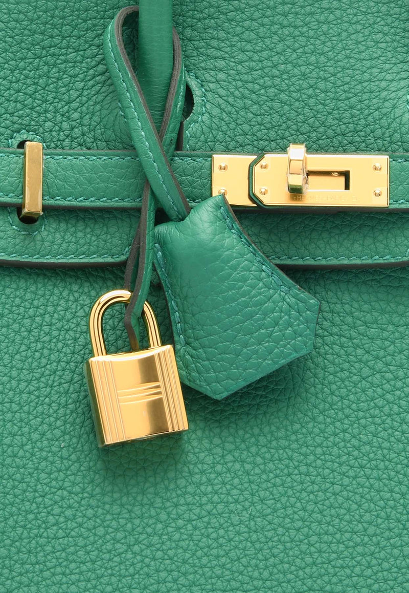 Hermès Birkin 25 in Vert Vertigo Togo Leather with Gold Hardware