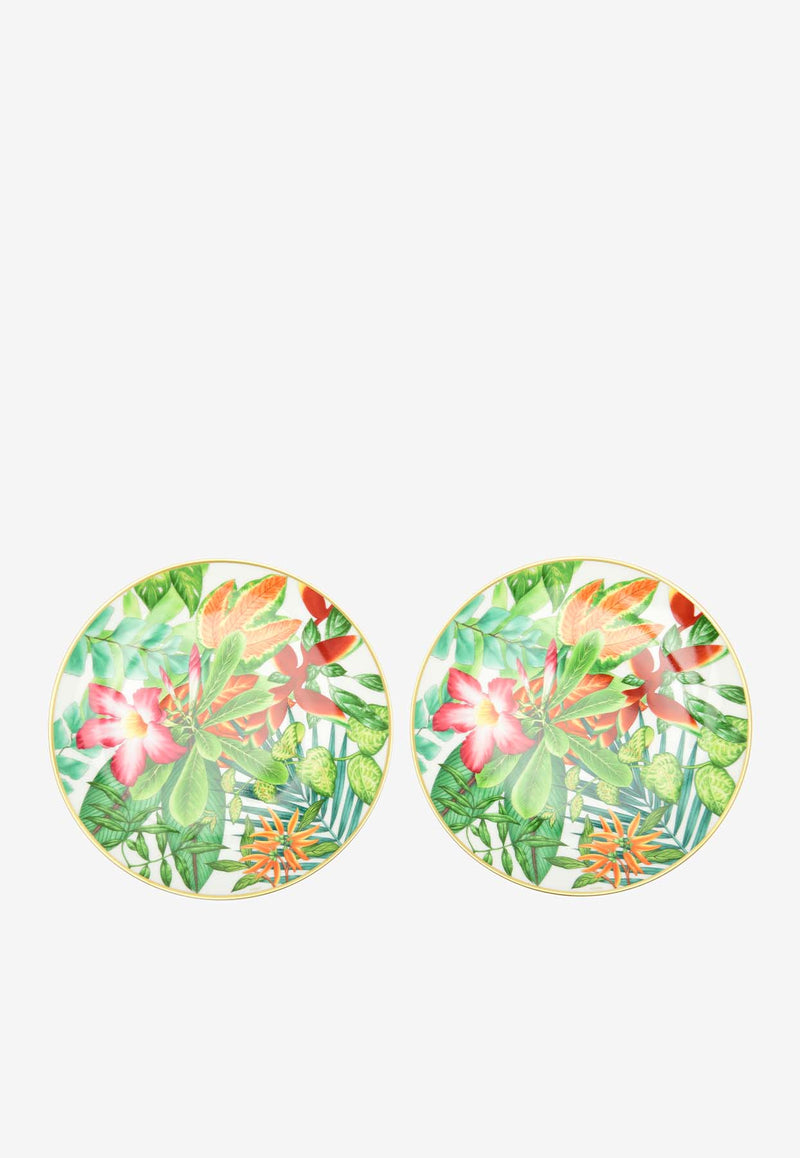 Hermès Passifolia N°1 Dessert Plate - Set of 2 Multicolor