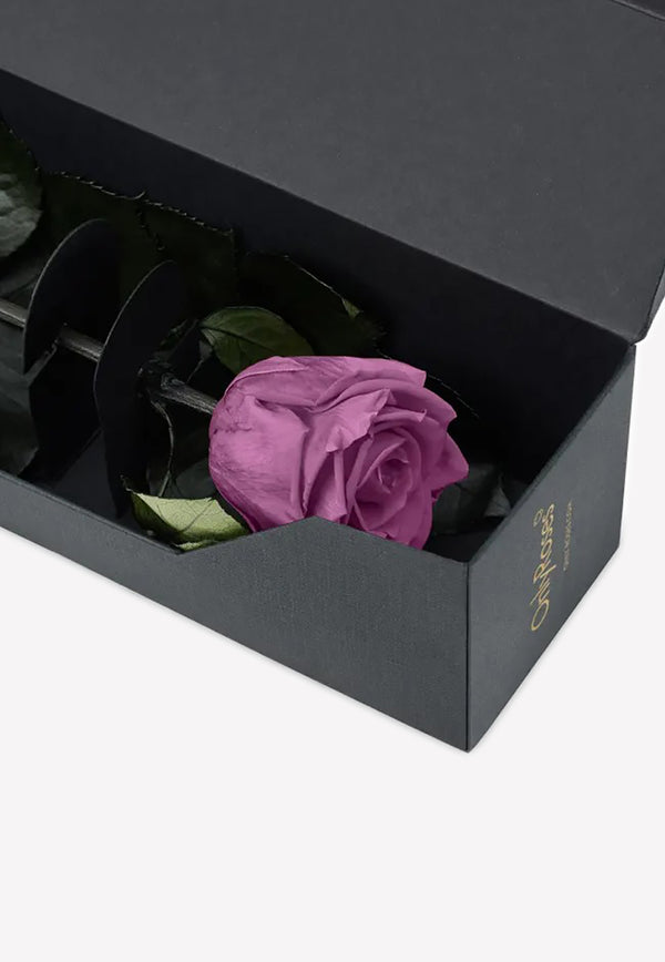 OnlyRoses Infinite Rose Statement Blueberry 