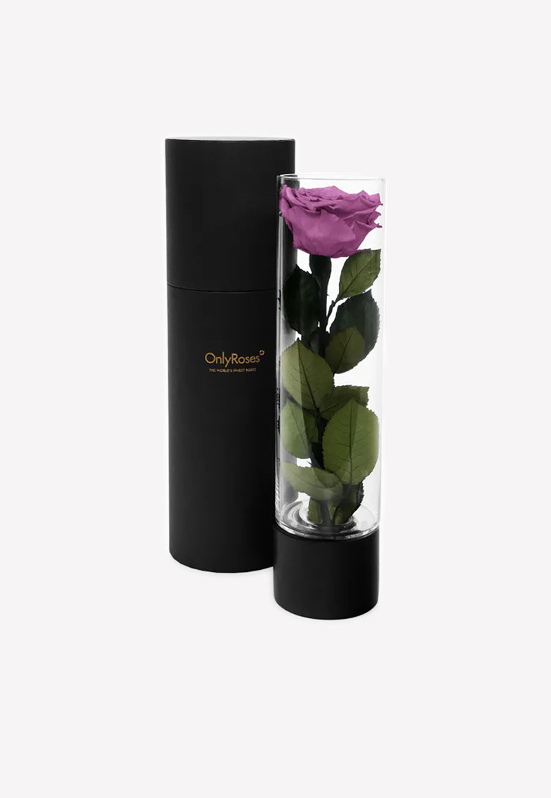 OnlyRoses Large Infinite Rose Ebony Blueberry 