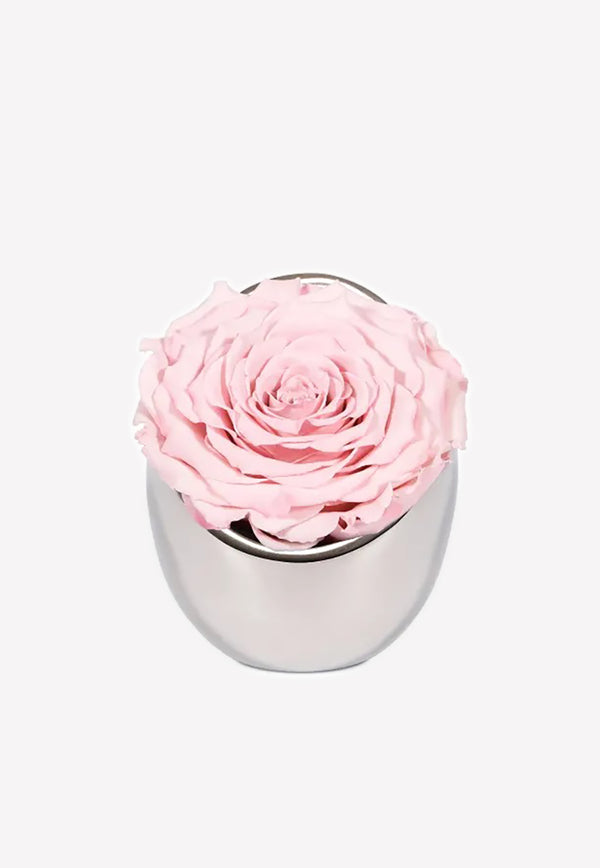 OnlyRoses Infinite Rose Luna Blush Pink 