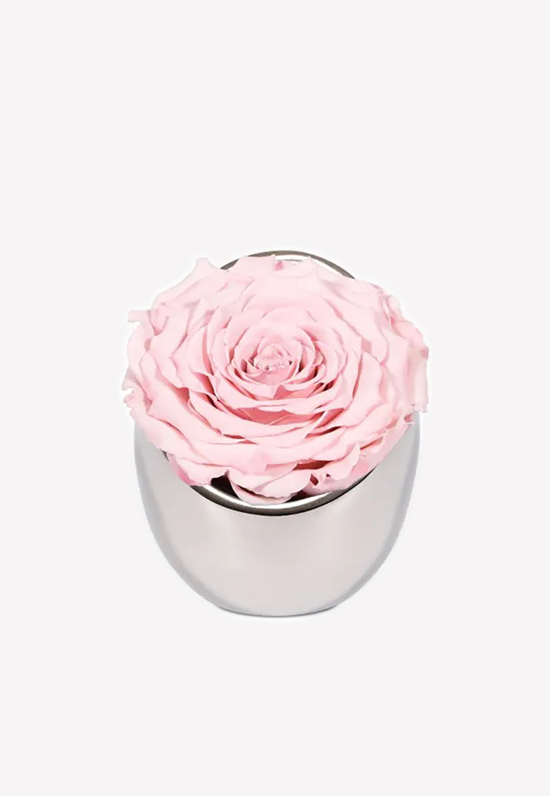 OnlyRoses Infinite Rose Luna Blush Pink 