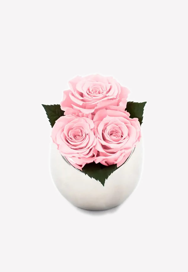 OnlyRoses Infinite Rose Fortune Blush Pink 