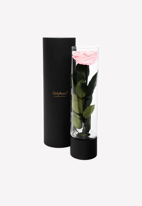 OnlyRoses Large Infinite Rose Ebony Blush Pink 