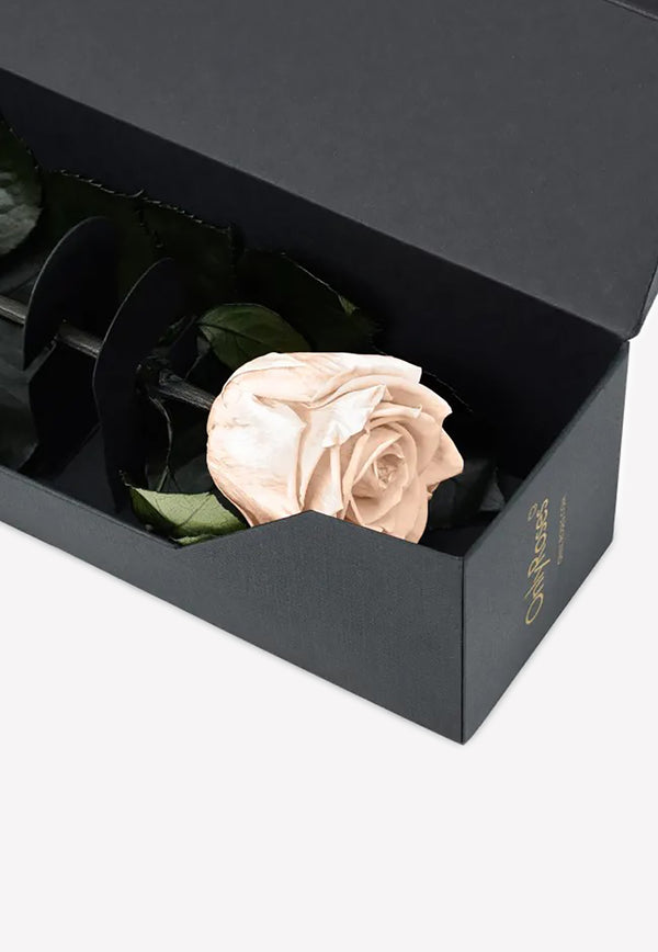 OnlyRoses Infinite Rose Statement Champagne 