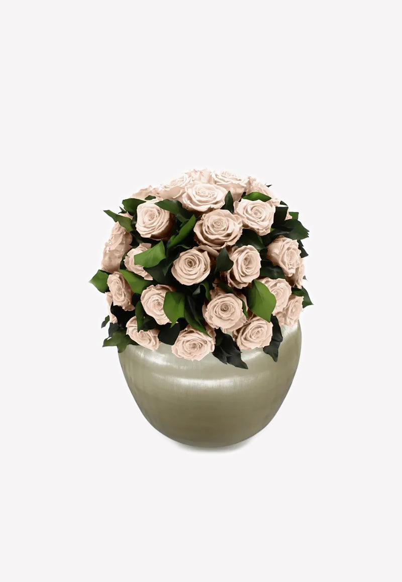 OnlyRoses XXL Infinite Rose Sienna Champagne 