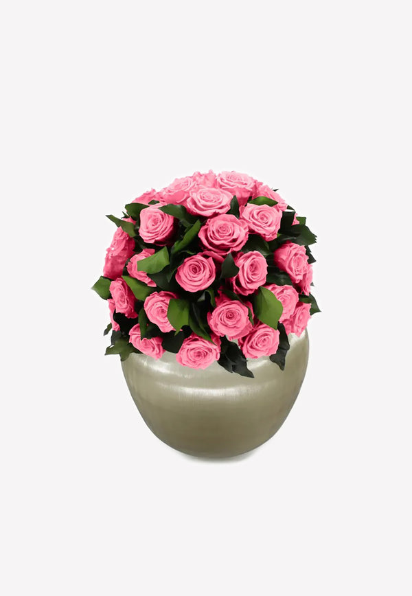 OnlyRoses XXL Infinite Rose Sienna Cherry Blossom 