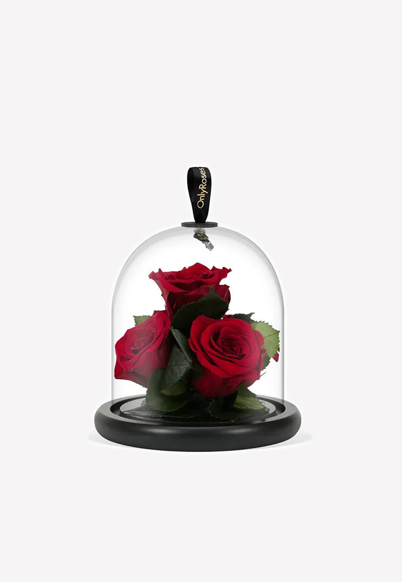 OnlyRoses Infinite Rose Gem Crimson 