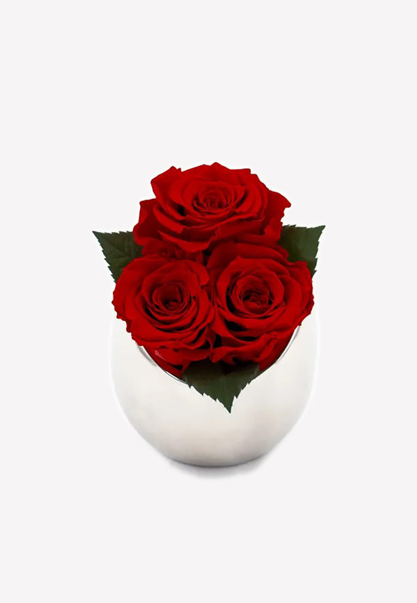 OnlyRoses Infinite Rose Fortune Crimson 