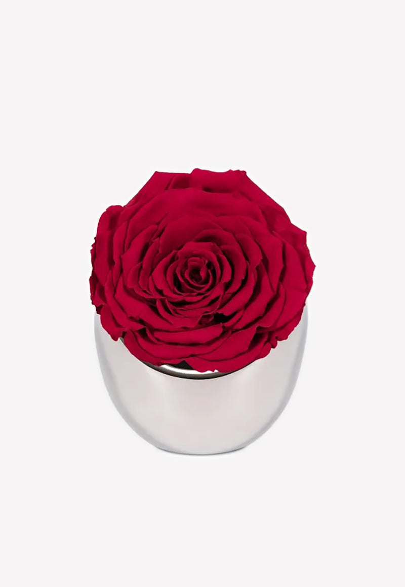 OnlyRoses Infinite Rose Luna Crimson 