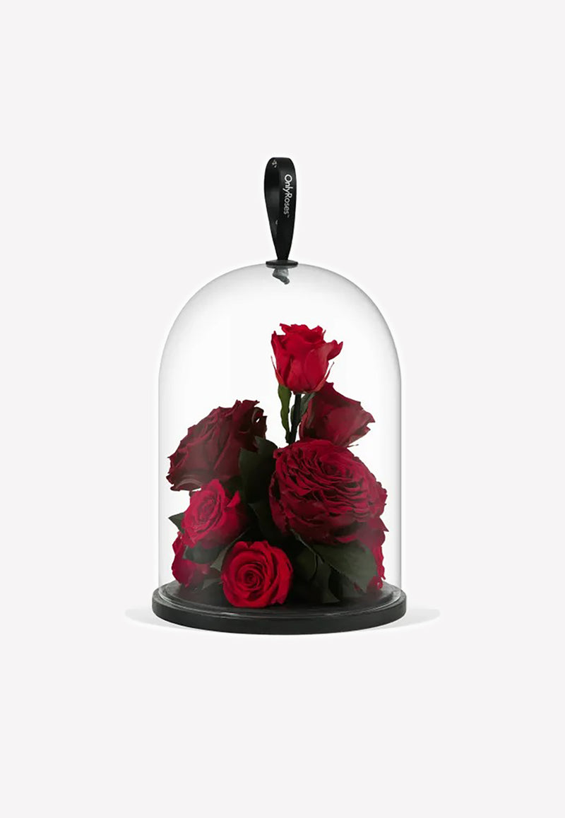 OnlyRoses Infinite Rose Jewel Crimson 