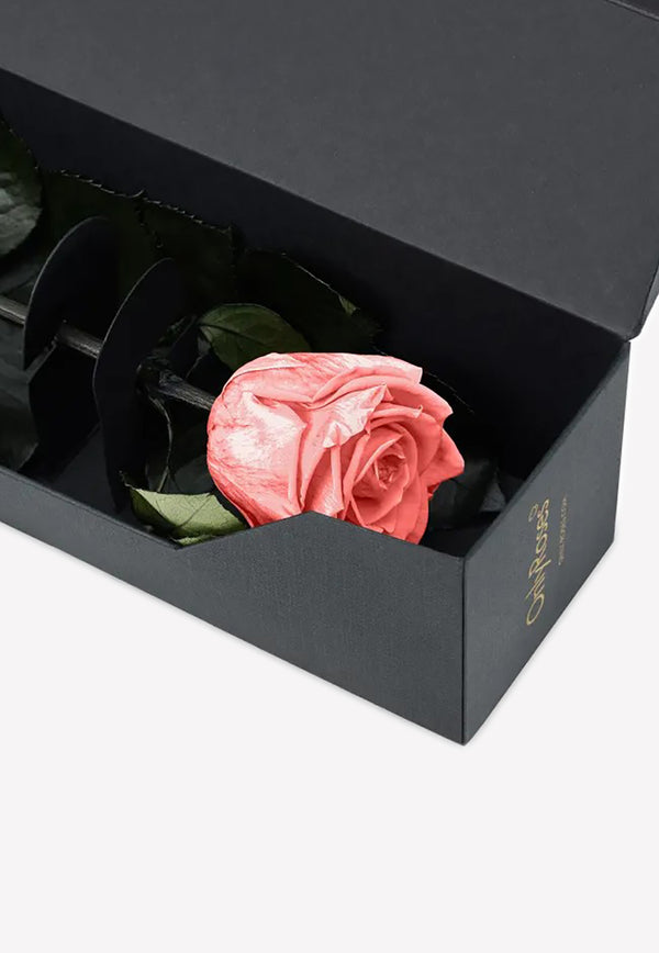 OnlyRoses Infinite Rose Statement Flamingo 