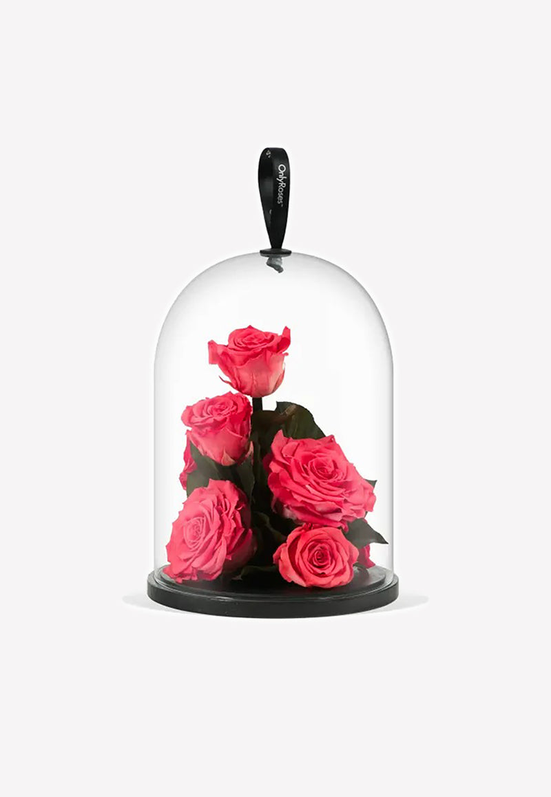 OnlyRoses Infinite Rose Jewel Flamingo 