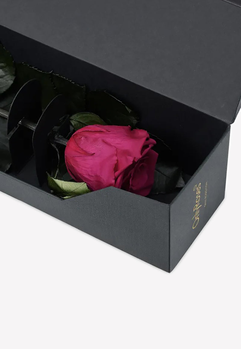 OnlyRoses Infinite Rose Statement Hot Pink 