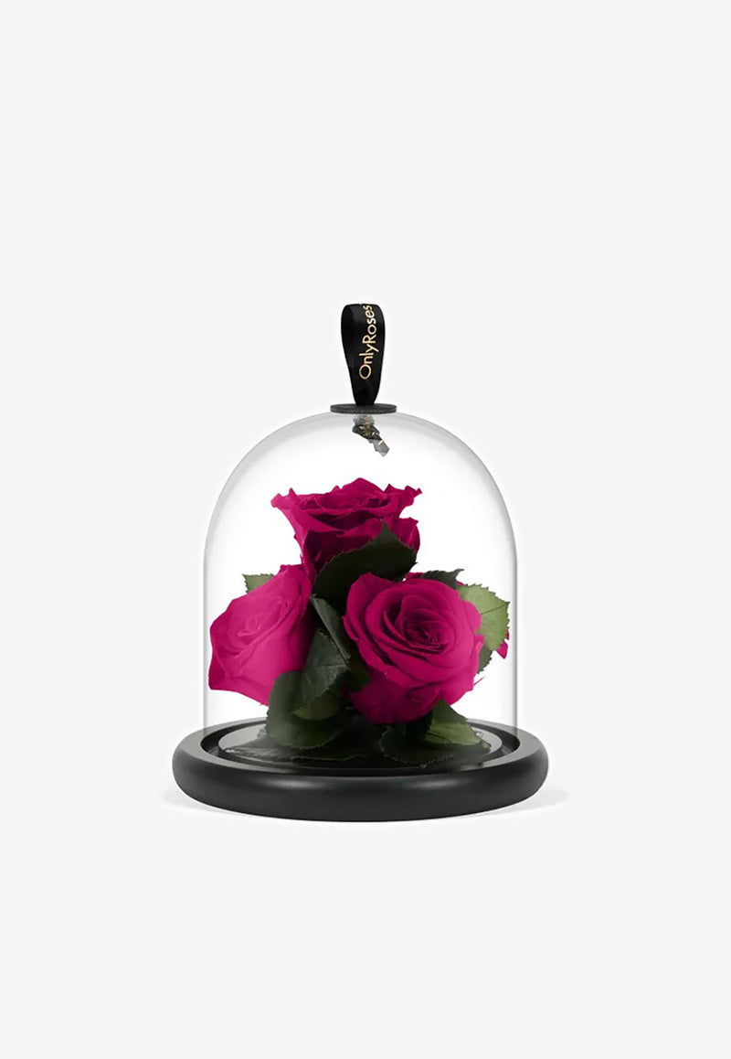 OnlyRoses Infinite Rose Gem Hot Pink 