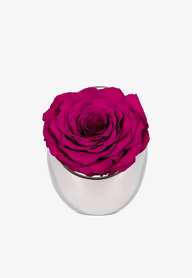 OnlyRoses Infinite Rose Luna Hot Pink 