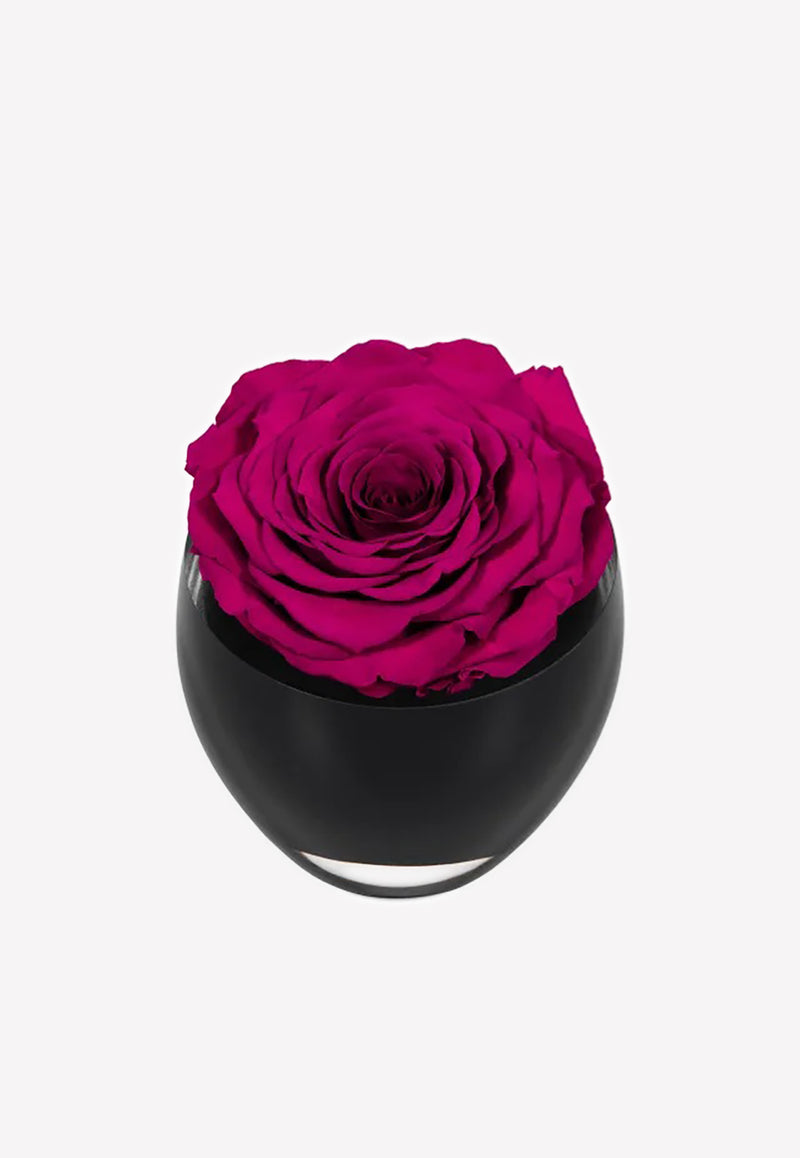 OnlyRoses The Infinite Rose Hot Pink 