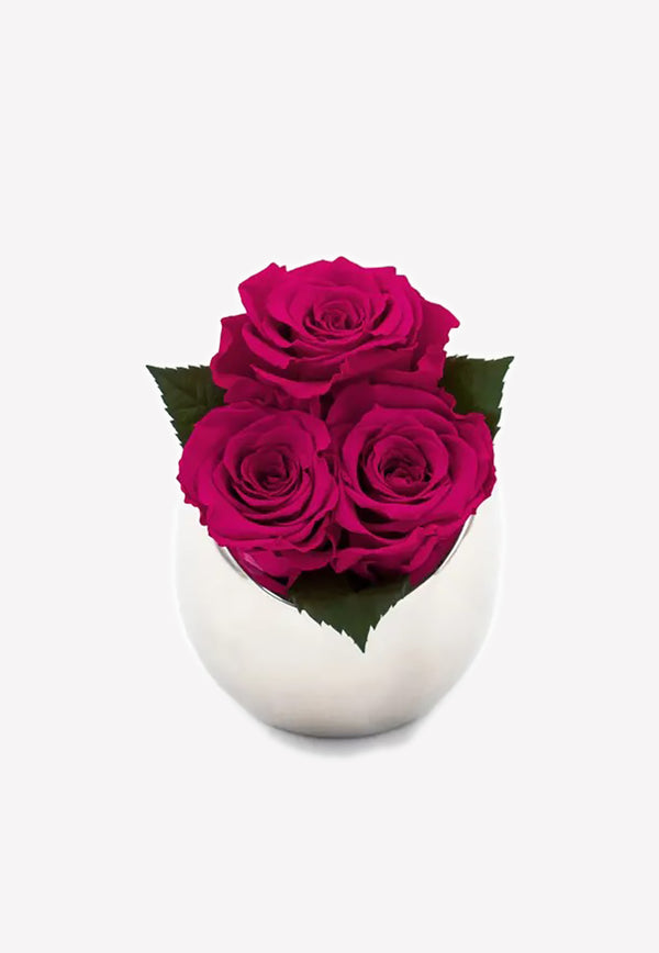 OnlyRoses Infinite Rose Fortune Hot Pink 