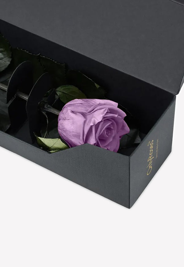 OnlyRoses Infinite Rose Statement Lavender 