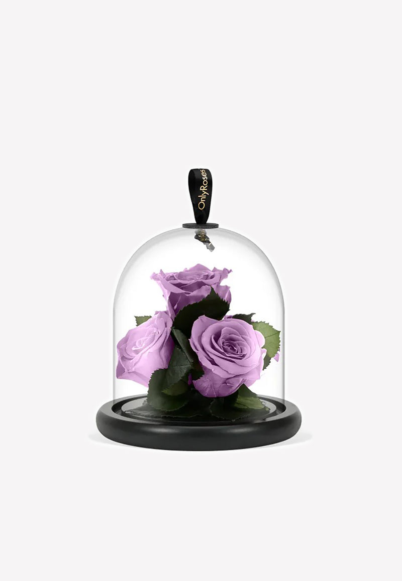 OnlyRoses Infinite Rose Gem Lavender 