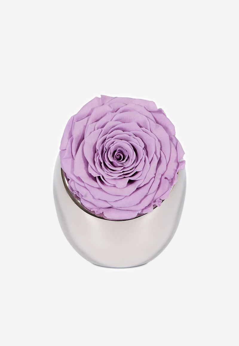 OnlyRoses Infinite Rose Luna Lavender 