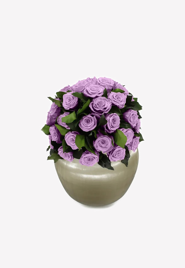 OnlyRoses XXL Infinite Rose Sienna Lavender 