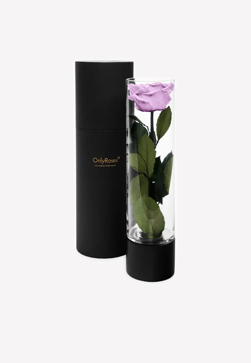 OnlyRoses Large Infinite Rose Ebony Lavender 