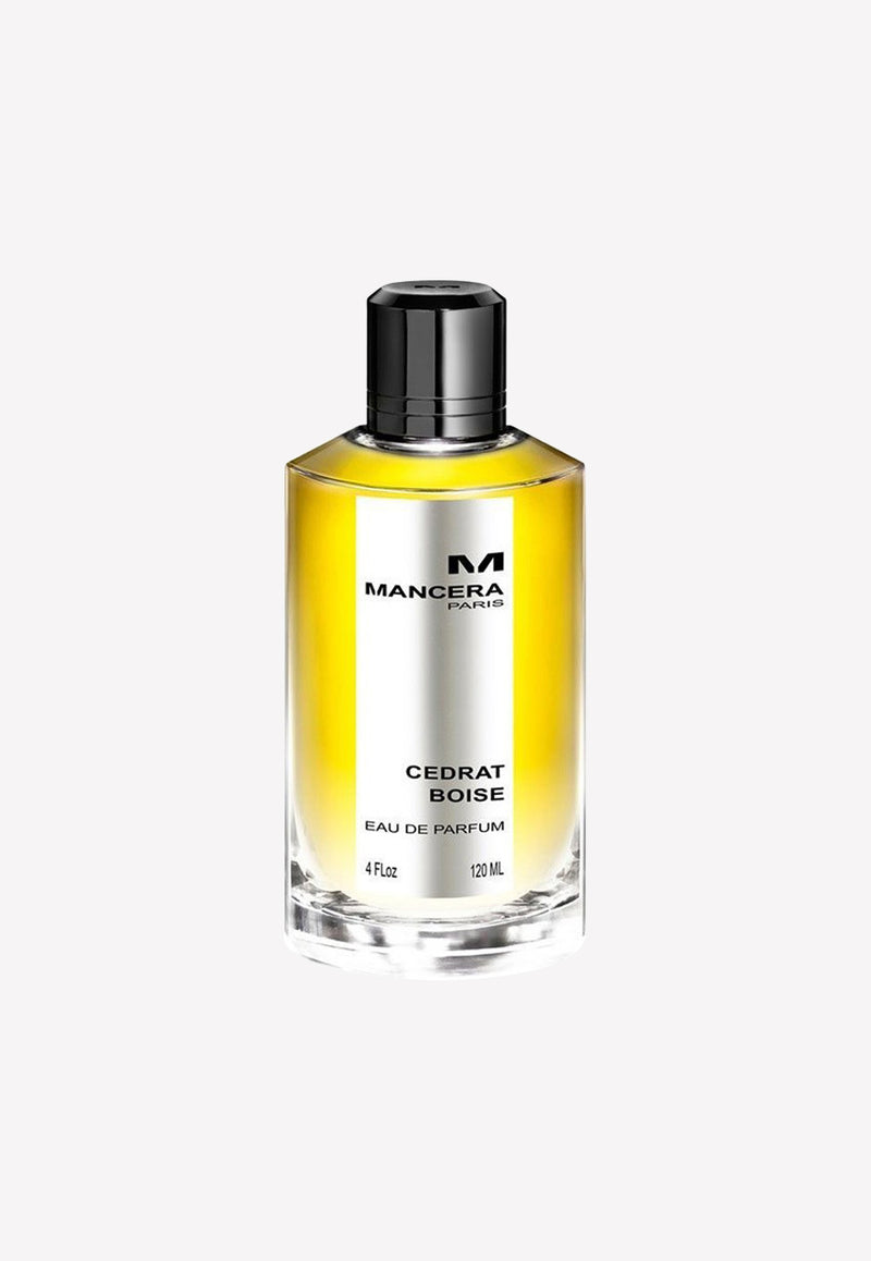 عطر سيدرات بويز أو دو بارفان - 120 مل