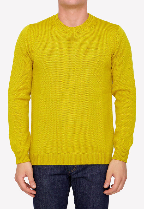 Roberto Collina Merino Wool Sweater Color 02001-02-43