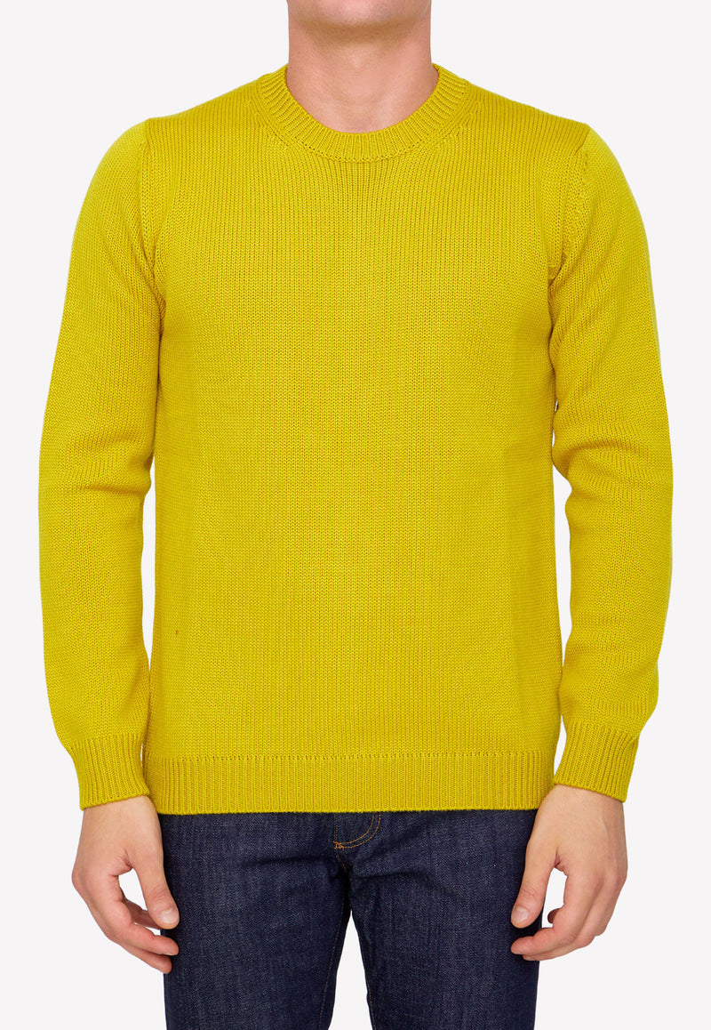 Roberto Collina Merino Wool Sweater Color 02001-02-43